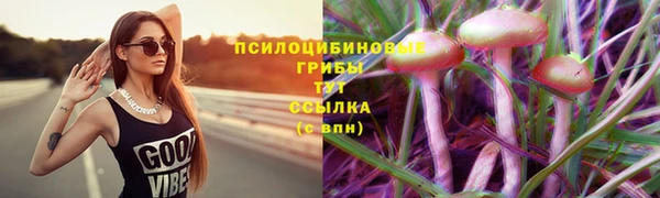 дмт Волосово