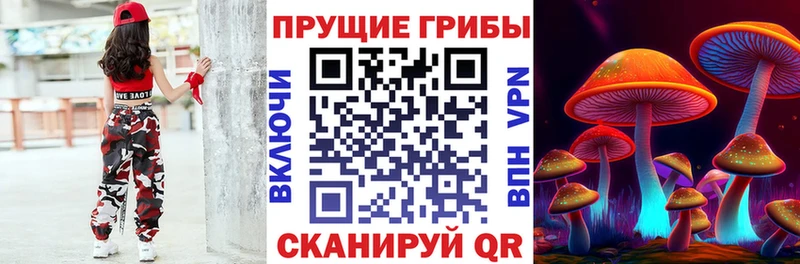 даркнет сайт  Вязники  Псилоцибиновые грибы Psilocybine cubensis 