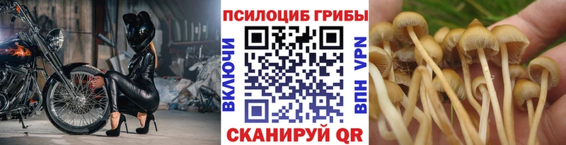 Галлюциногенные грибы Magic Shrooms Вязники